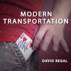 Modern Transportation by David Regal