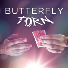 Butterfly Torn By Yvan Garmy