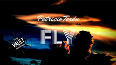 The Vault - Fly by Patricio Teran