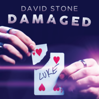 Damaged by David Stone
