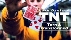 TNT (Tear & Transform) by Luke Oseland