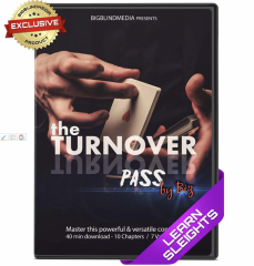 The Turnover Pass by Biz